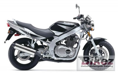 2002 Suzuki GS 500 photo